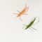 Premium Woolen Prawn Catnip Enrichment Toy 2