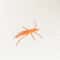 Premium Woolen Prawn Catnip Enrichment Toy 3