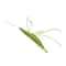 Premium Woolen Prawn Catnip Enrichment Toy 6