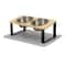 Elevated 15 Tilted Stainless Steel Double Pet Feeder 9