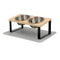 Elevated 15 Tilted Stainless Steel Double Pet Feeder 9