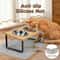 Elevated 15 Tilted Stainless Steel Double Pet Feeder 2