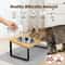 Elevated 15 Tilted Stainless Steel Double Pet Feeder 4