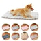 Thickened Flannel Winter Warm Cat Mat 1