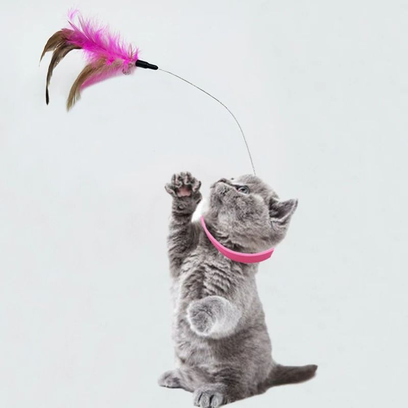 HandsFree SelfExciting Collar Cat Toy 2