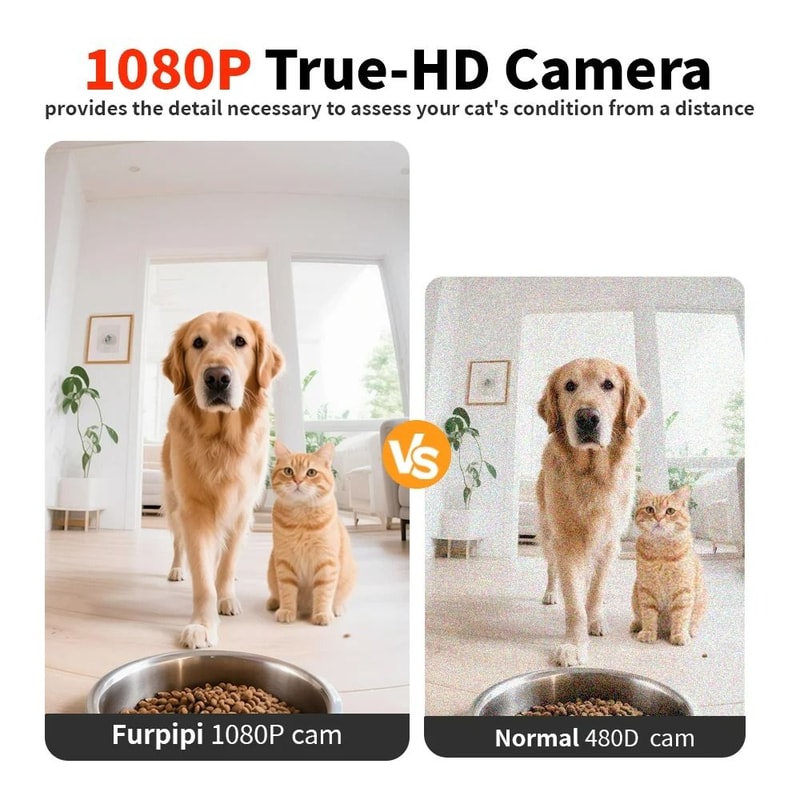 8L Smart Vision Automatic Pet Feeder With 1080P HD Camera 5G WiFi 3