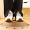 Corrugated Claw Sharpening Lounge Furniture Protector 2