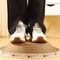 Corrugated Claw Sharpening Lounge Furniture Protector 2