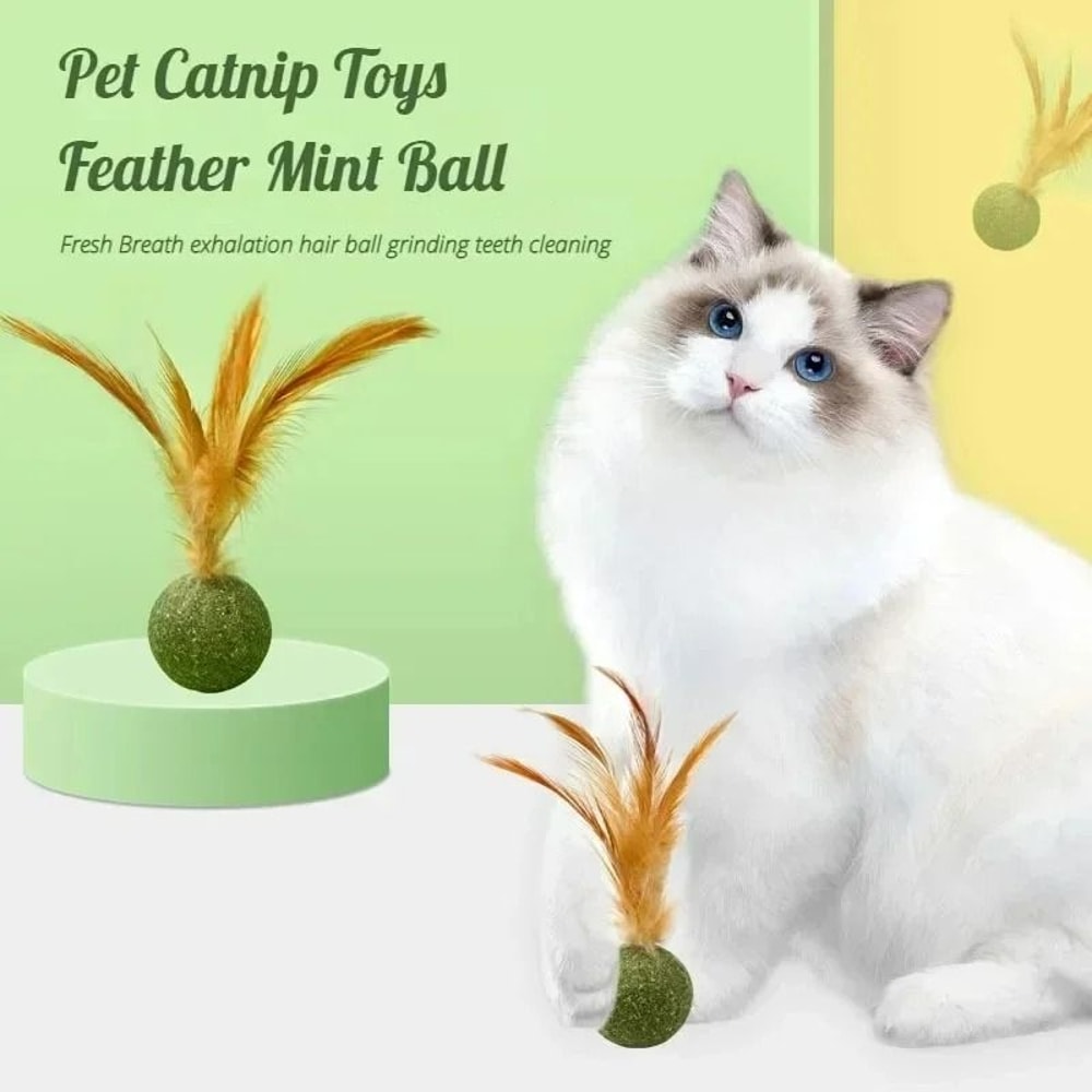 Natural Edible Catnip Wall Ball Rotating Interactive Toy 0