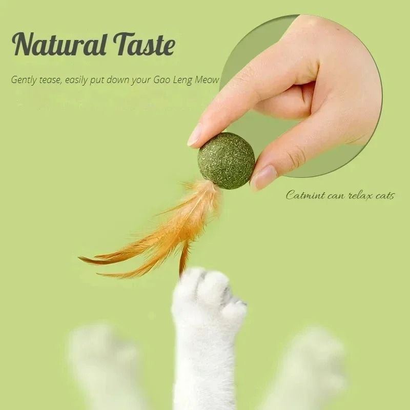 Natural Edible Catnip Wall Ball Rotating Interactive Toy 1