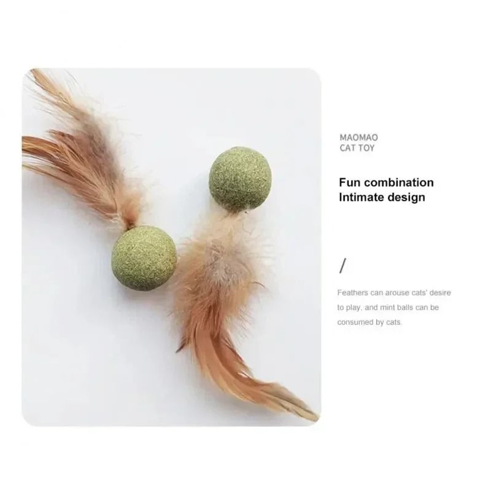 Natural Edible Catnip Wall Ball Rotating Interactive Toy 2
