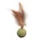 Natural Edible Catnip Wall Ball Rotating Interactive Toy 5
