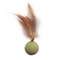Natural Edible Catnip Wall Ball Rotating Interactive Toy 5