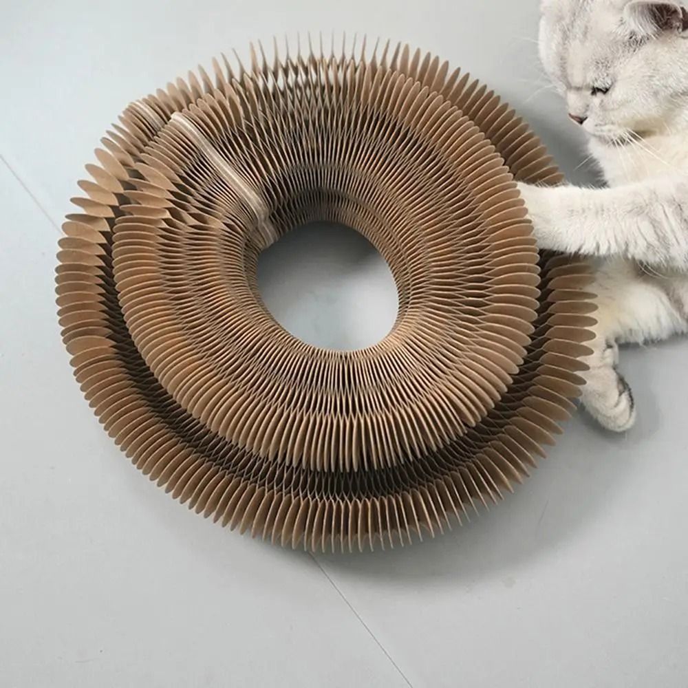 Transformable Accordion Magic Organ Cat Scratching Toy 1