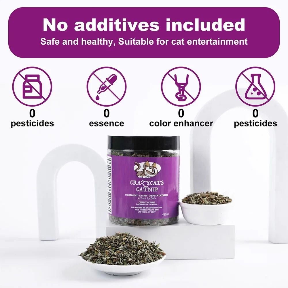 Premium HighPotency Catnip 460ml ExtraLarge Jar 1