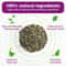 Premium HighPotency Catnip 460ml ExtraLarge Jar 3