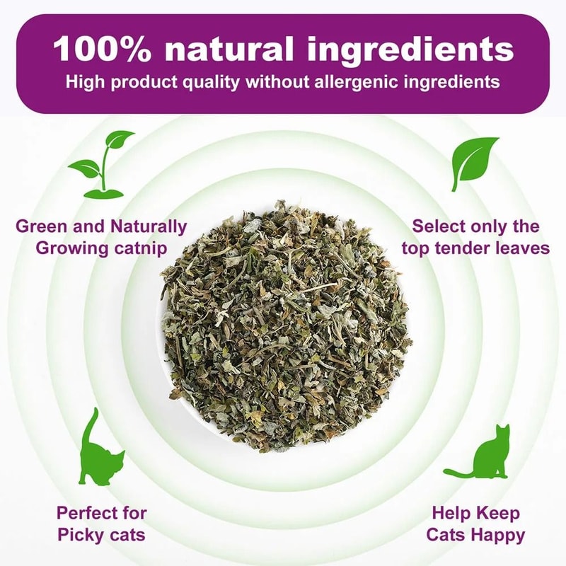 Premium HighPotency Catnip 460ml ExtraLarge Jar 3