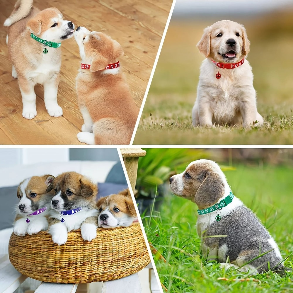 12Piece Soft Puppy ID Collar Set With Jingly Bells 3