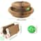 Transformable Accordion Scratching Board Interactive Magic Organ Toy 5