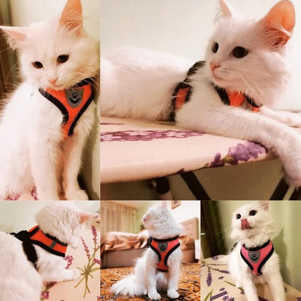 Adjustable Breathable Mesh Cat Harness Leash Set 0