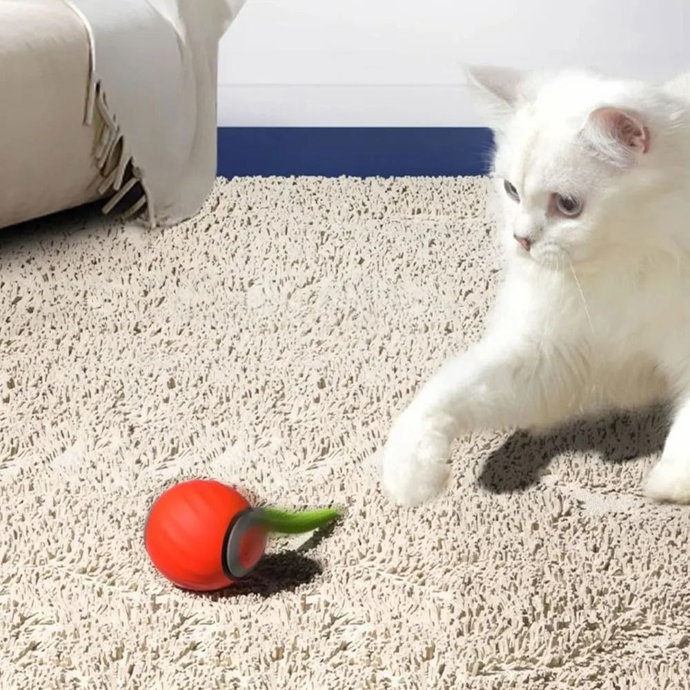 Speedy Tail 20 New Generation Smart Interactive Cat Toy 2Piece Set 4