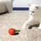 Speedy Tail 20 New Generation Smart Interactive Cat Toy 2Piece Set 4