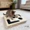 Interactive Cat Nail File Box Maze Tunnel With Bell Ball 8