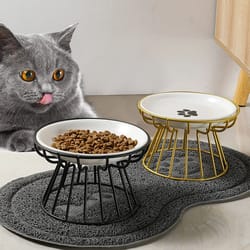 whisker-friendly ergonomic ceramic bowl with non-slip stand