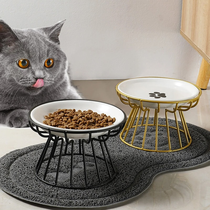 WhiskerFriendly Ergonomic Ceramic Bowl With NonSlip Stand 1