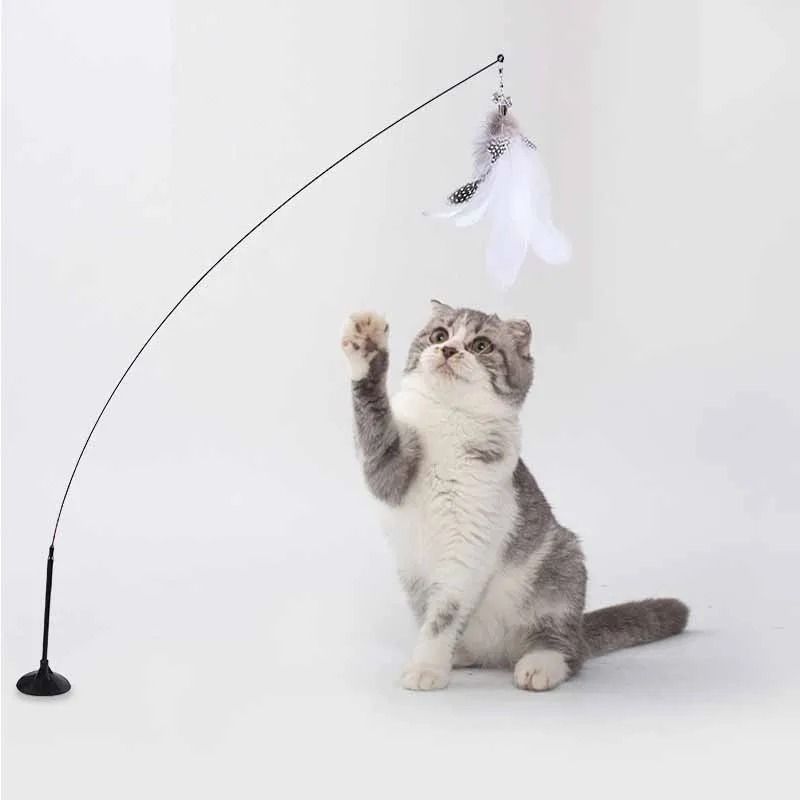 Interactive MultiMode Feather Teaser Wand With Suction Mount 4