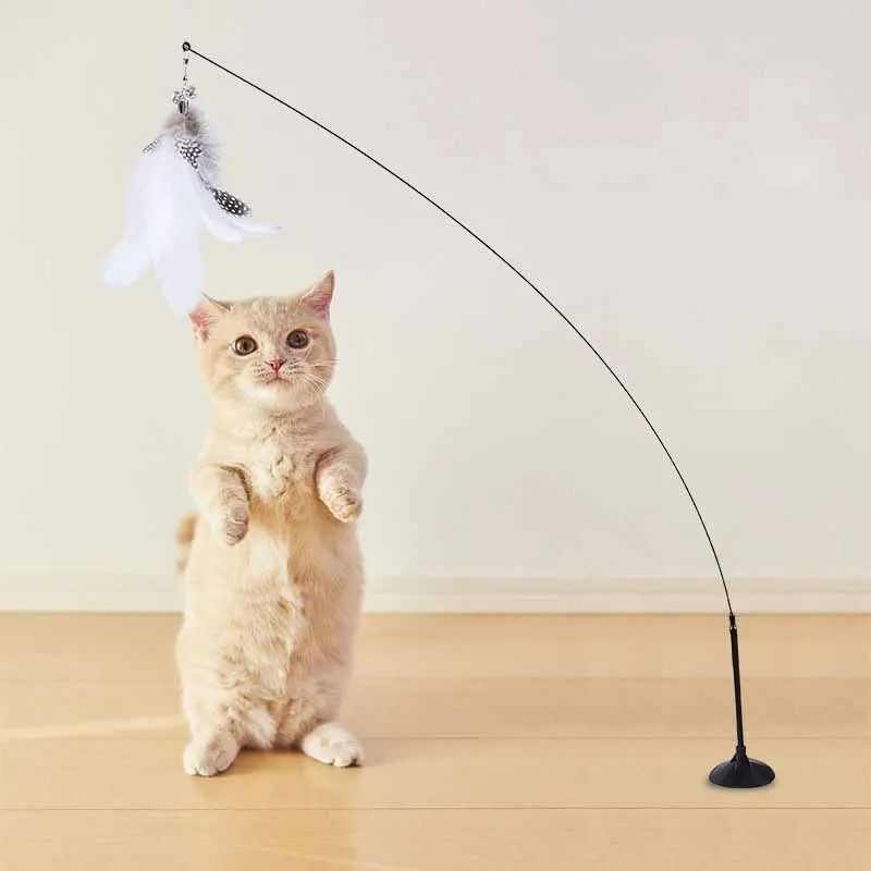 Interactive MultiMode Feather Teaser Wand With Suction Mount 5