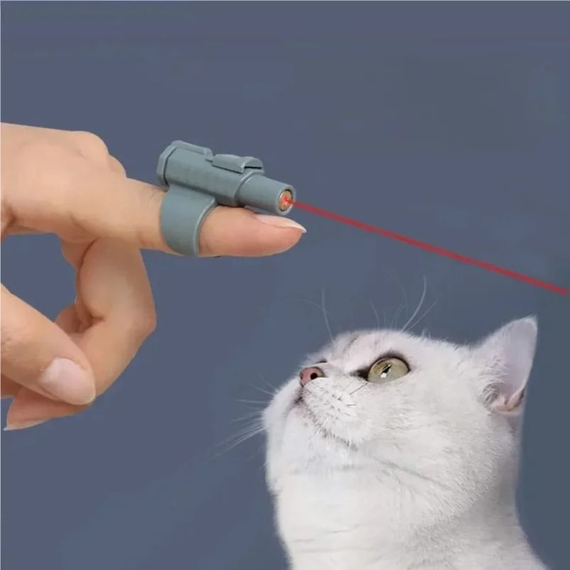 Portable FingerSleeve Mini Laser Cat Toy 2