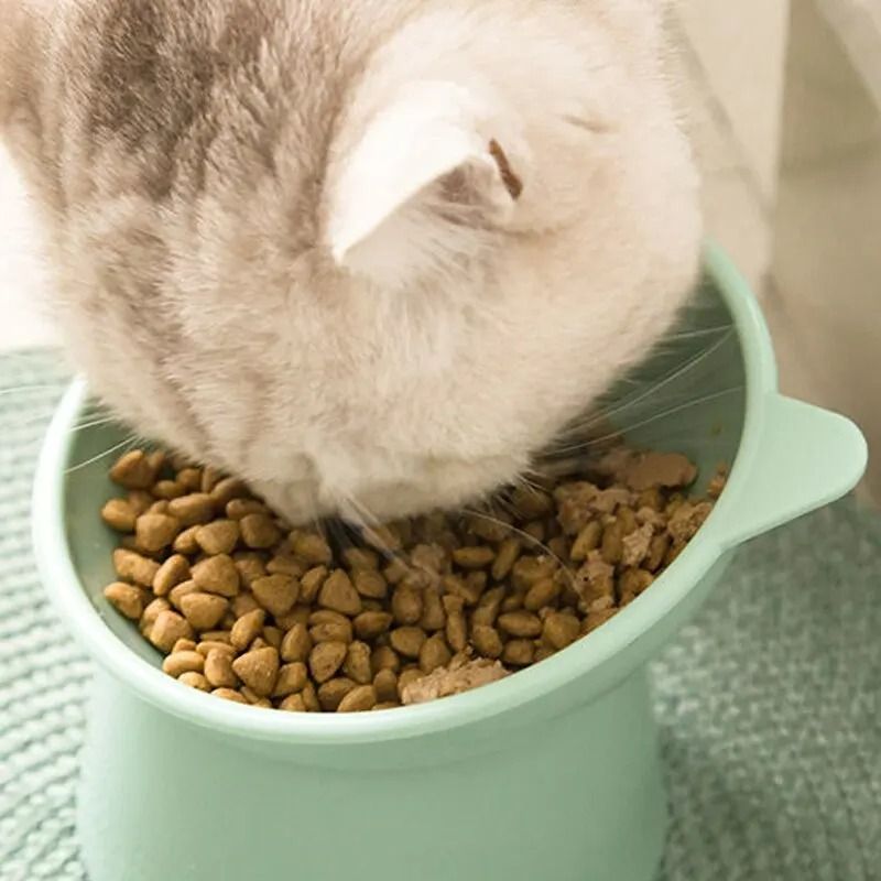 Ergonomic Tilted NeckProtection Pet Food Water Bowl 3