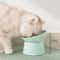 Ergonomic Tilted NeckProtection Pet Food Water Bowl 4