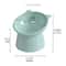 Ergonomic Tilted NeckProtection Pet Food Water Bowl 6