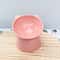 Ergonomic Tilted NeckProtection Pet Food Water Bowl 7