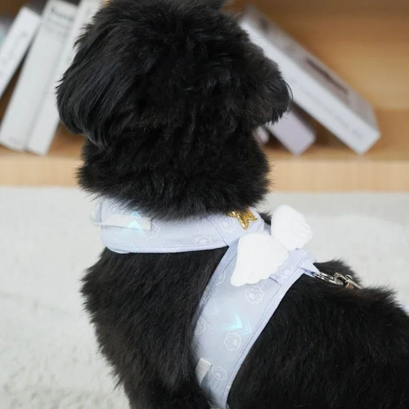 Kawaii Angel Wing Pet Vest Harness Leash Set 2