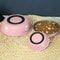 Stainless Steel AntiSlip Pet Feeding Bowl 1