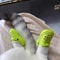 Miniature CrocStyle Silicone Shoe Pendants Pet Toys 0