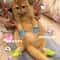 Miniature CrocStyle Silicone Shoe Pendants Pet Toys 3