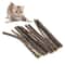 Pure Silvervine Dental Care Sticks 10Piece Value Pack 0