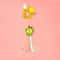Dragonfly Aerial Acrobat Hanging SelfPlay Elastic Cat Toy 10