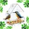Bird Feeder HighDefinition Wildlife Observation 0