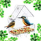 Bird Feeder HighDefinition Wildlife Observation 0