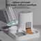 2in1 Pet Food And Water Station 4