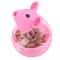 Mouse Shaped Rolling Pet Feeder And Slow Treat Dispenser 8