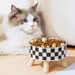stainless steel patterned pet bowl