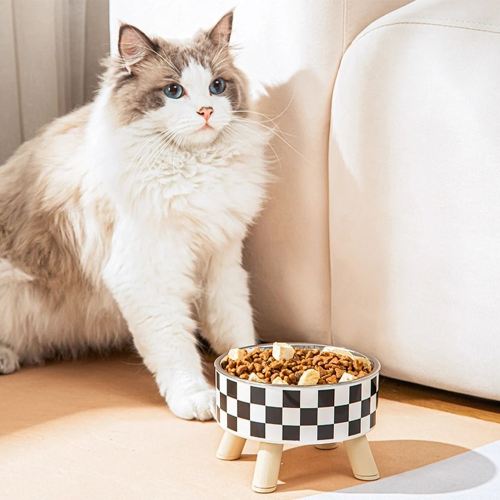 Stainless Steel Patterned Pet Bowl 3