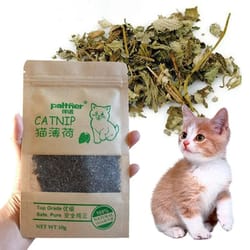 pureleaf 100% organic natural catnip