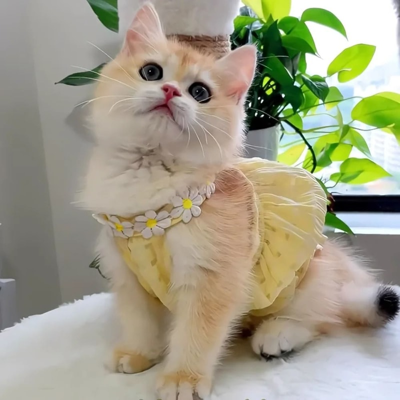 Petal Princess Floral Wreath Summer Pet Dress 0